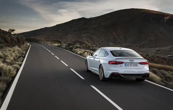 Road, Audi, rear view, RS5, Sportback, RS 5, 2020