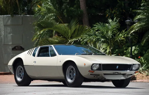 Road, palm trees, classic, De Tomaso, Mangusta, 1967–71