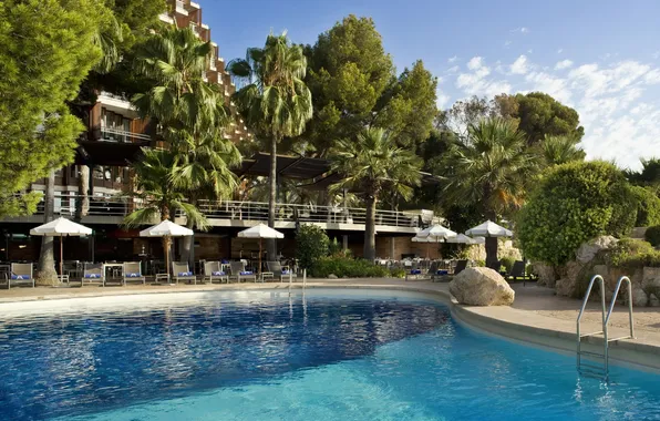 Water, the city, palm trees, photo, pool, resort, Spain, Balearic Islands Mallorca