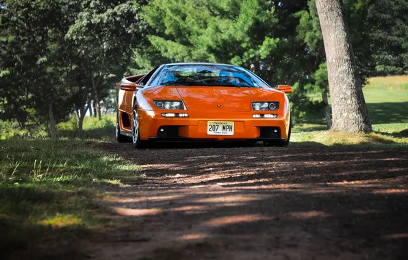 Picture grass, trees, orange, lamborghini, diablo, the front, orange, primer