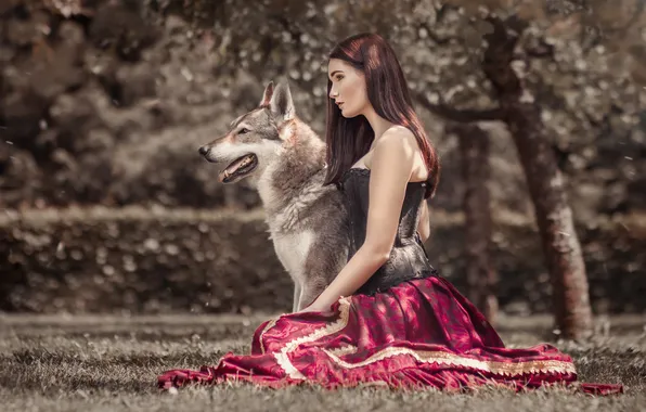 Girl, light, nature, Park, tree, glade, wolf, dog