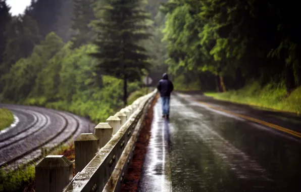 Road, rain, the fence