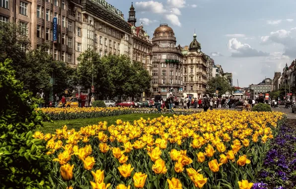 Picture street, building, spring, The city, Prague, Czech Republic, tulips, architecture