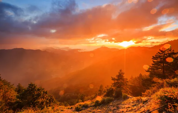 Forest, mountains, dawn, haze, Taroko National Park