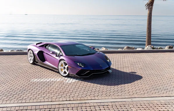 Lamborghini, Aventador, SVJ
