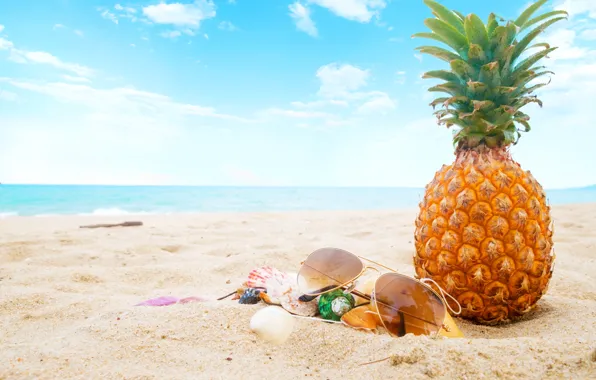 Sand, sea, beach, summer, the sky, stay, glasses, shell