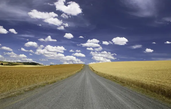 Road, clouds, wheat, countryside, farm, wheat field, sunny, farmland