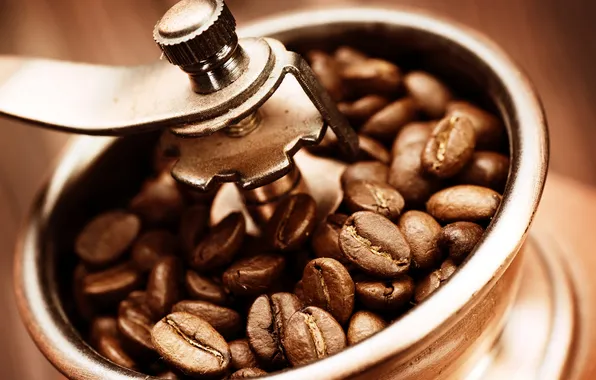 Picture macro, coffee, grain, coffee grinder