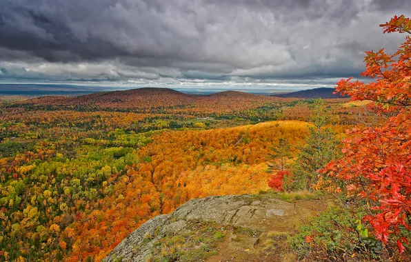 Picture autumn, forest, the sky, clouds, trees, mountains, rocks