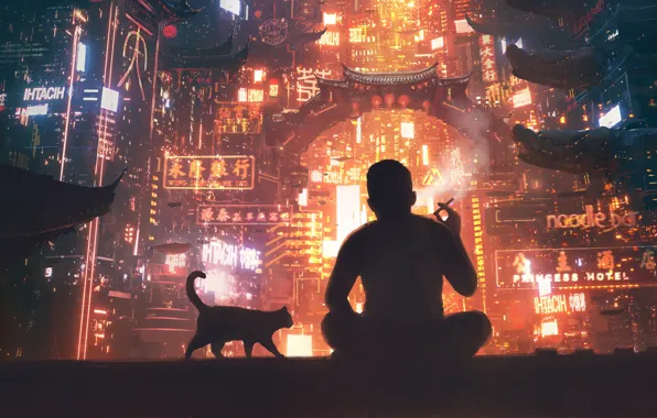 Night, The city, Future, Smoke, People, Cat, Light, Silhouette
