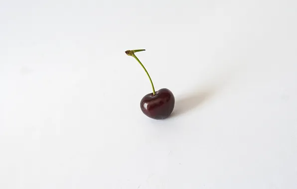 Cherry, background, berry