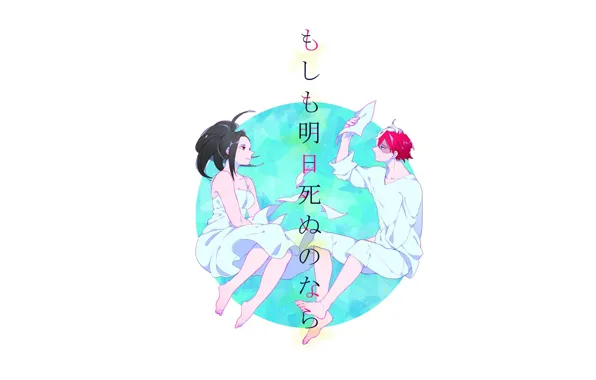 Romance, pair, My Hero Academia, Boku No Hero Academy, Todoroki Shoto, My Hero Academy, Airoso …