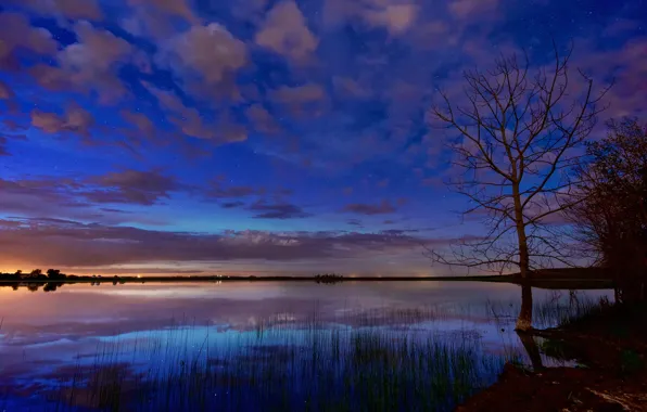 Picture stars, clouds, night, lake, tree, dawn, glow