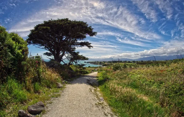 Picture the sky, trees, landscape, nature, beauty