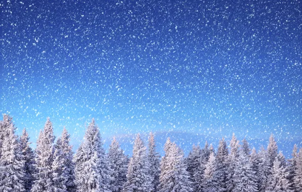 Winter, forest, the sky, snow, trees, landscape, nature, horizon