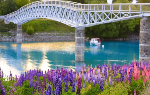Summer, water, trees, flowers, bridge, lake, shore, posts