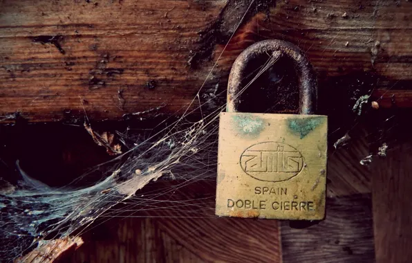 Wallpaper castle, web, naturalism for mobile and desktop, section