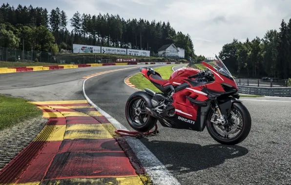 Red, Ducati, black, Superleggera V4