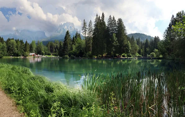 Greens, forest, summer, the sky, grass, clouds, mountains, lake