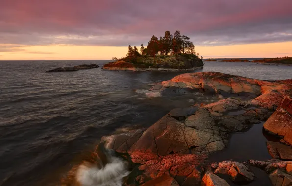 Trees, landscape, nature, lake, stones, dawn, morning, Lake Ladoga