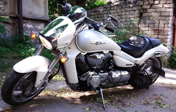Picture background, motorcycle, suzuki