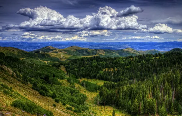 The sky, trees, landscape, mountains, Utah, above Park City