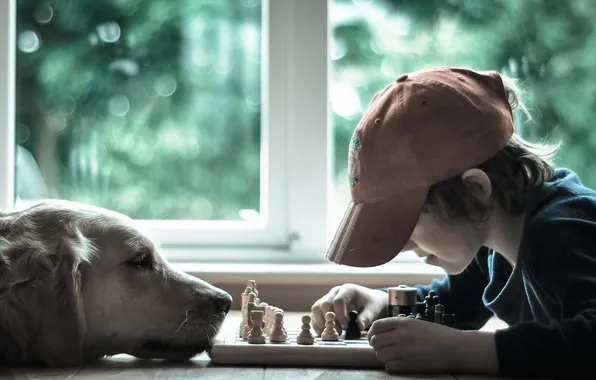Picture mood, dog, chess, Malchik