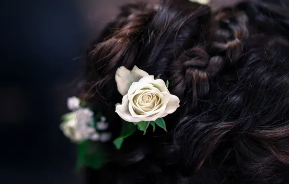 Flowers, roses, brunette, hairstyle, braid