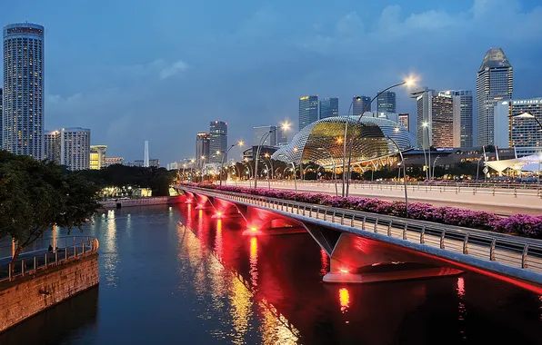 Bridge, lights, home, the evening, Singapore, twilight