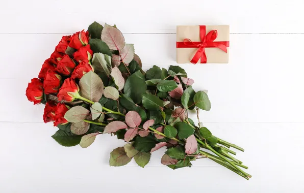 White, background, holiday, gift, bouquet, red, roses