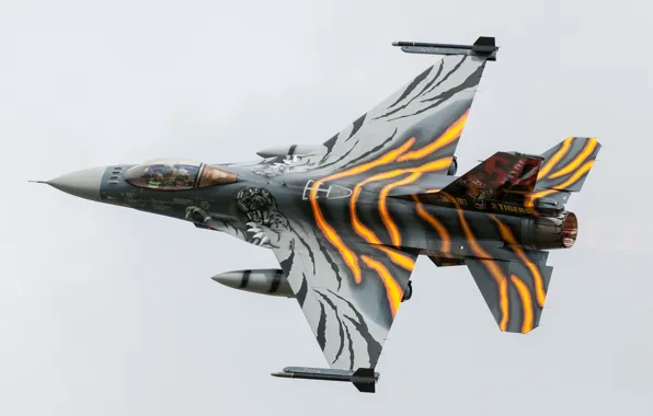 Picture tiger, tuning, combat aircraft, General Dynamics F-16AM Fighting Falcon
