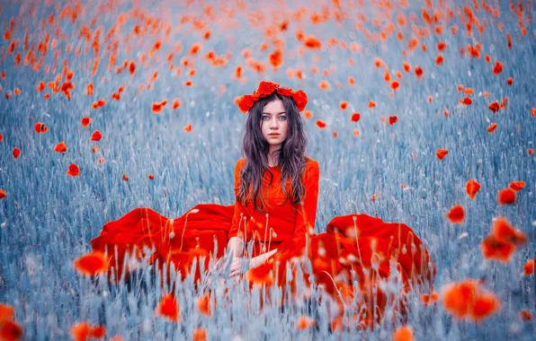 Picture field, girl, flowers, Maki, red dress, wreath, Kristina Makeeva