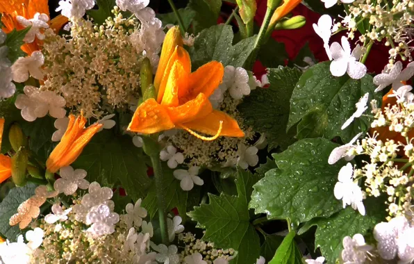 Drops, bouquet, Still life, Kalina, daylilies