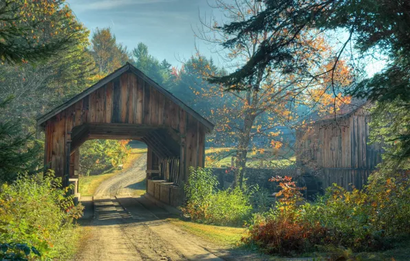Picture road, autumn, forest, trees, bridge, Nature