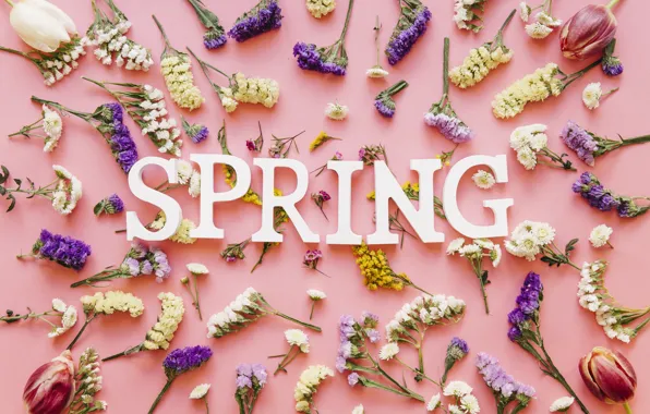 Flowers, background, pink, spring, pink, flowers, spring, purple