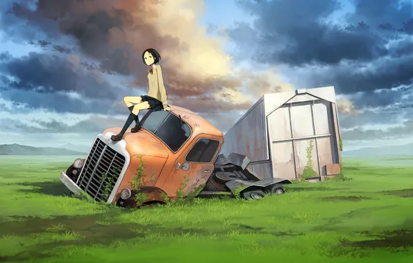 Field, machine, crash, grass, clouds, the skeleton, art, girl