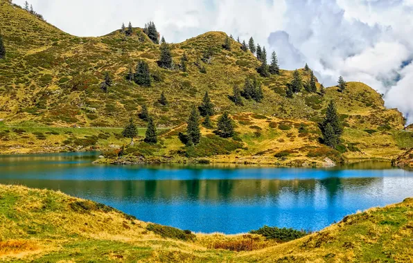 Grass, trees, mountains, lake