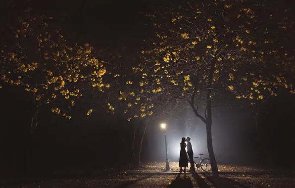 Picture love, night, Park