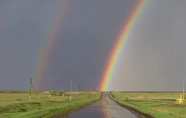Road, rainbow