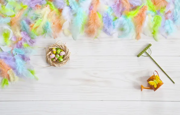 Eggs, feathers, colorful, Easter, happy, flowers, eggs, easter