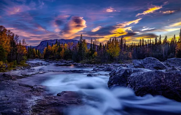 Picture autumn, forest, sunset, mountains, river, Sweden, Sweden, Lapland