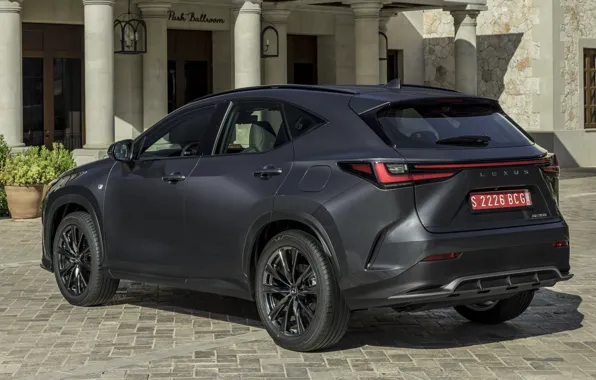 The building, power, the hotel, columns, exterior, paving stones, Lexus NX 350 F Sport