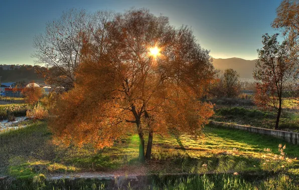 Picture autumn, the sky, trees, sunset, mountains