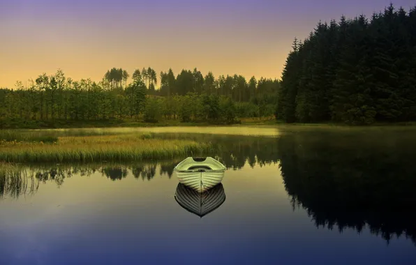 Picture forest, nature, lake, boat, the evening