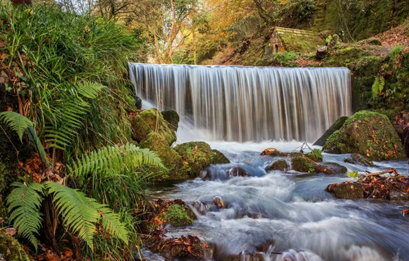 Picture waterfall, forest, nature