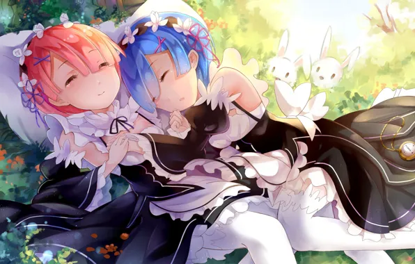 Ram, Rem, Re: Zero kara hajime chip isek or Seikatsu