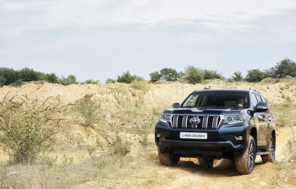 Picture sand, the sky, vegetation, SUV, Toyota, 4x4, Land Cruiser, the five-door