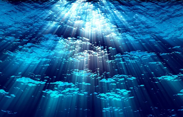 Picture water, blue, background, depth, rays of light