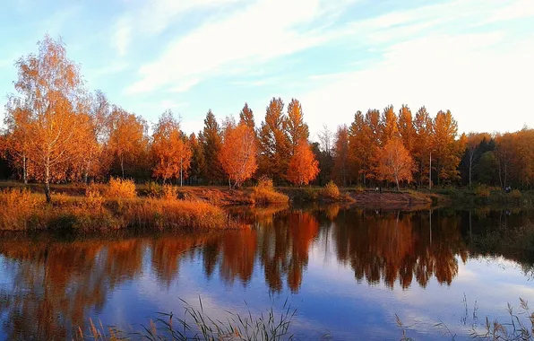 Autumn, forest, the sky, leaves, clouds, landscape, river, the crimson