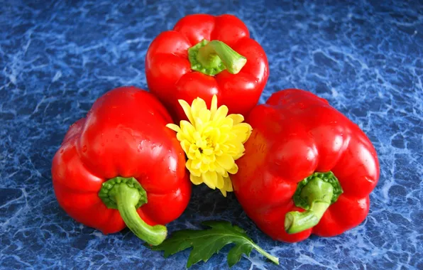 Picture flower, red, pepper